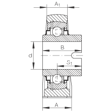 直立式軸承座單元 RASEL40-N, 鑄鐵軸承座，浮動軸承，內(nèi)圈有驅(qū)動槽，R 型密封